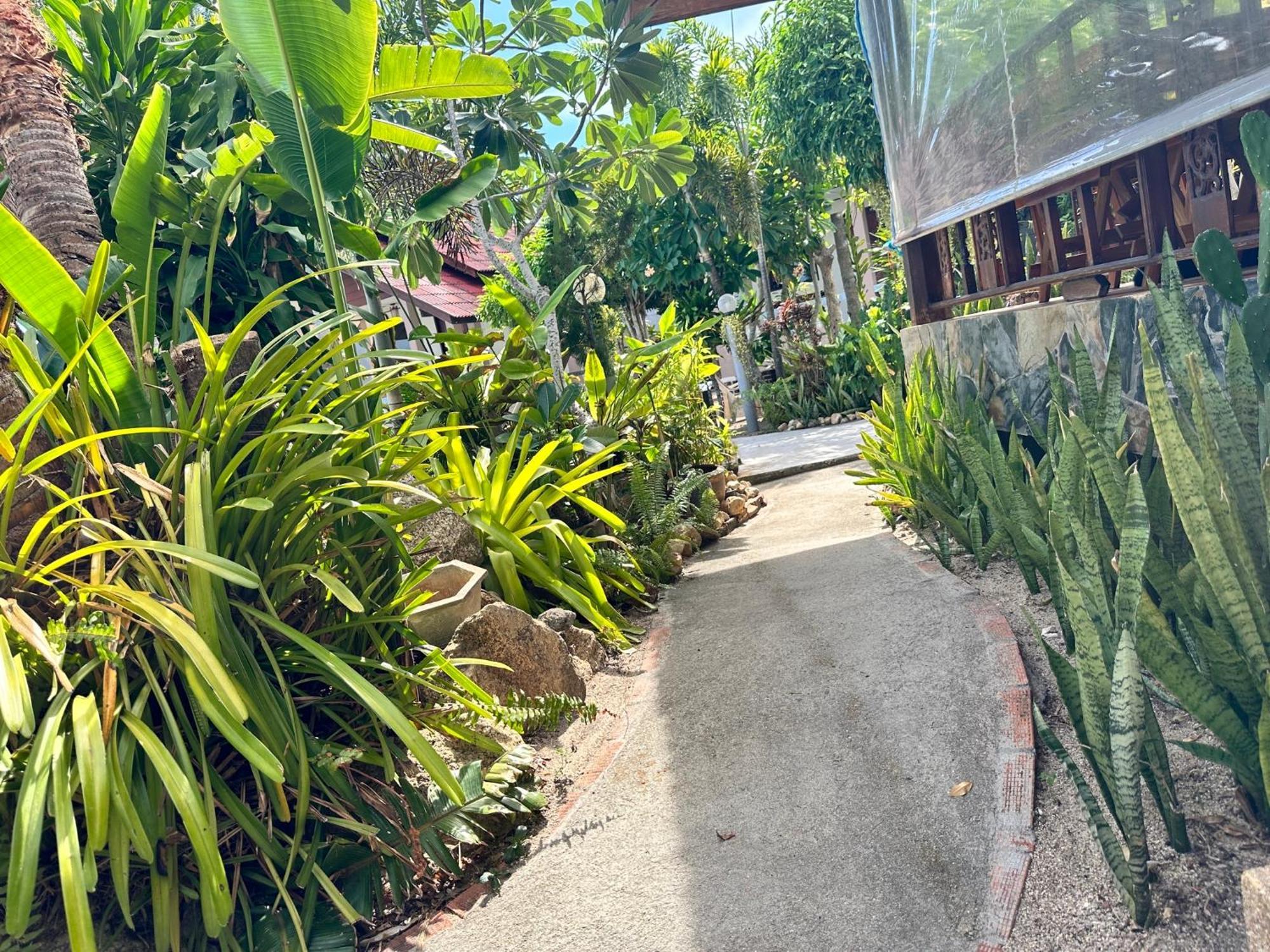 Phangan Lodge Ban Tai Exterior photo